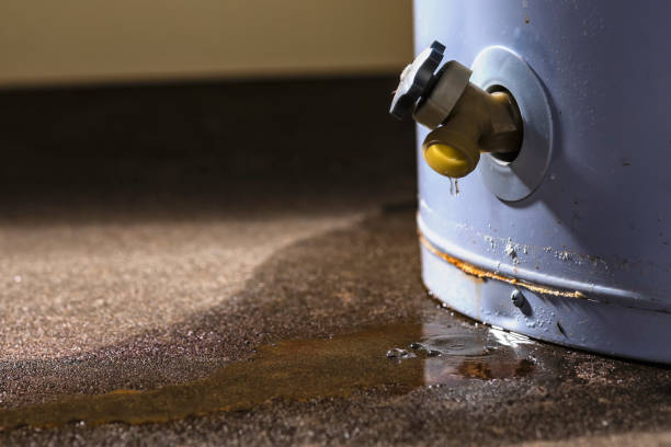 Best 24-hour water damage restoration  in Bolivar, TN