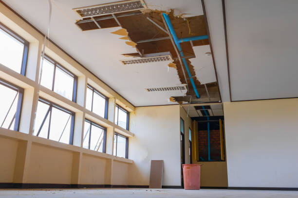 Best Sewage cleanup and water damage restoration  in Bolivar, TN