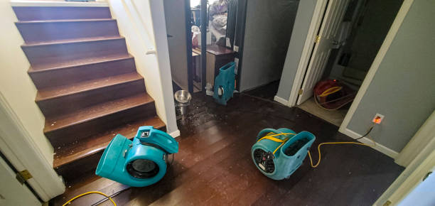 24/7 water damage repair in TN