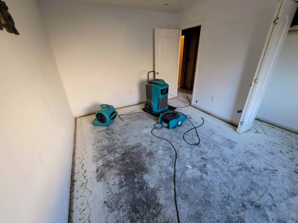 Best Water damage contractors near me  in Bolivar, TN