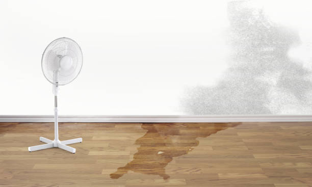 Water damage restoration experts in TN