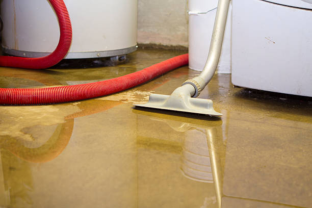 Best Residential water damage restoration  in Bolivar, TN