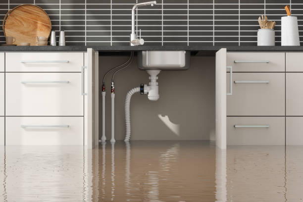  Bolivar, TN Water damage restoration Pros